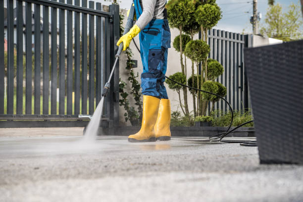 Professional  Pressure Washing Services in Bridgeport, PA